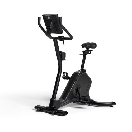 Schwinn 190 Upright Bike - Image 3